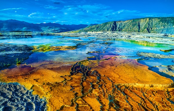 The Mammoth Hot Springs